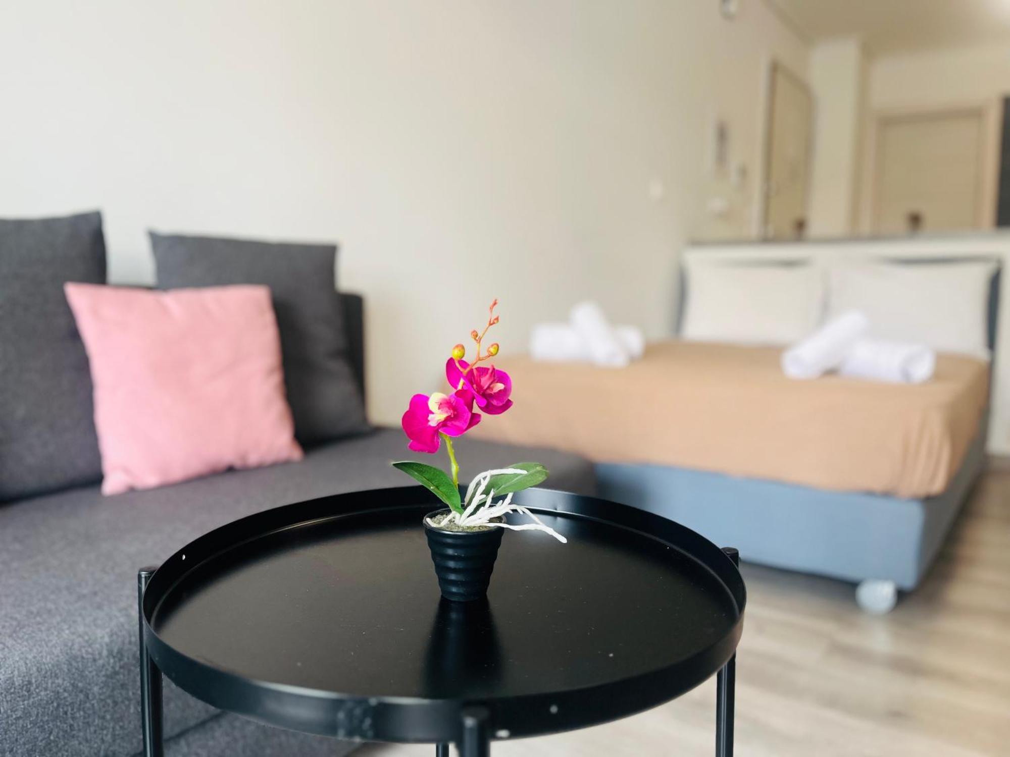 Elvita Apartments 4 أثينا المظهر الخارجي الصورة